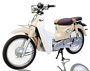 Xe Máy Cub 50cc New 2021  Xe Bảo Nam